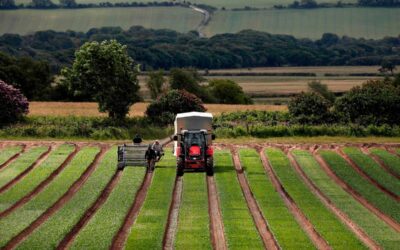 Young Farmers Lead The Charge In Agriculture